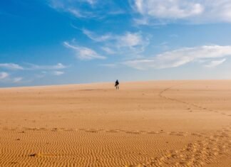 Heat Stroke | Rising Temperature | Tips to Prevent Heat Stroke Source: Pexels.com