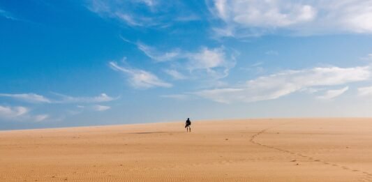 Heat Stroke | Rising Temperature | Tips to Prevent Heat Stroke Source: Pexels.com