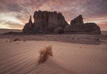 Heat Stroke | Symptoms | Causes | Complications | Prevention | Risk Factors Source: Pixabay