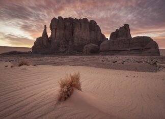 Heat Stroke | Symptoms | Causes | Complications | Prevention | Risk Factors Source: Pixabay