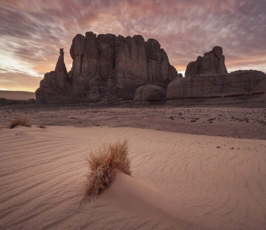 Heat Stroke | Symptoms | Causes | Complications | Prevention | Risk Factors Source: Pixabay